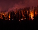 Handling the Heat The Evolving Nature of Washington's Wildfires
