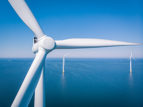 Advocacy Groups File Endangered Species Act Suit Against Virginia Offshore Wind Project