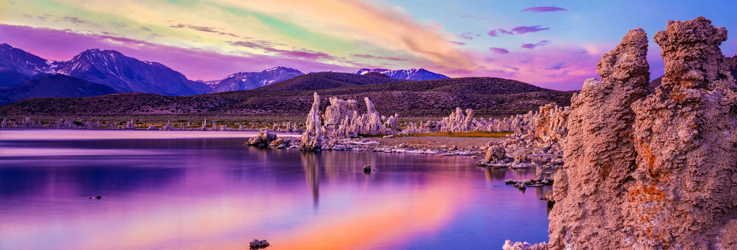 { Banner Image }