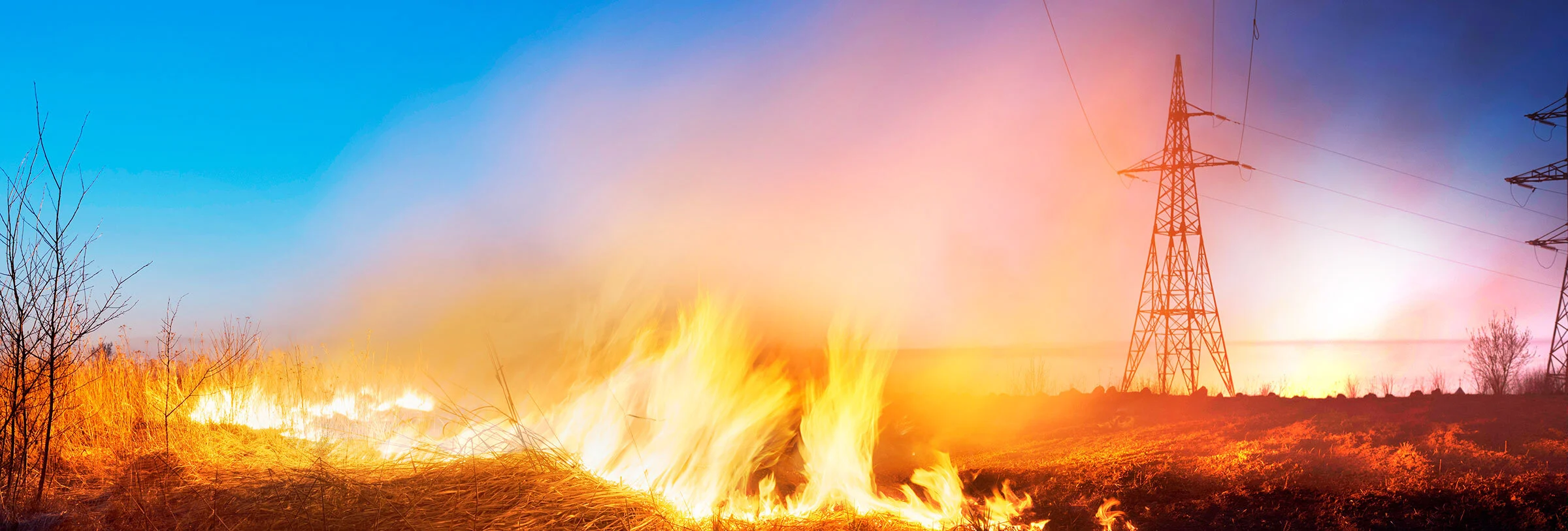{ Banner Image }