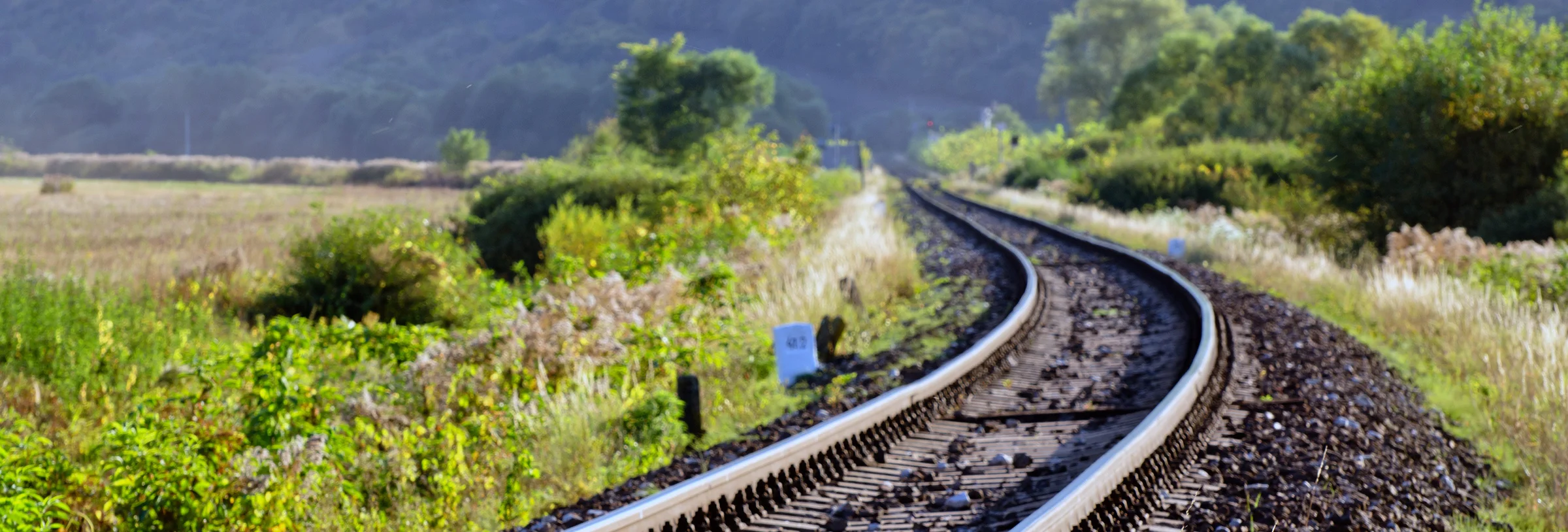 { Banner Image }