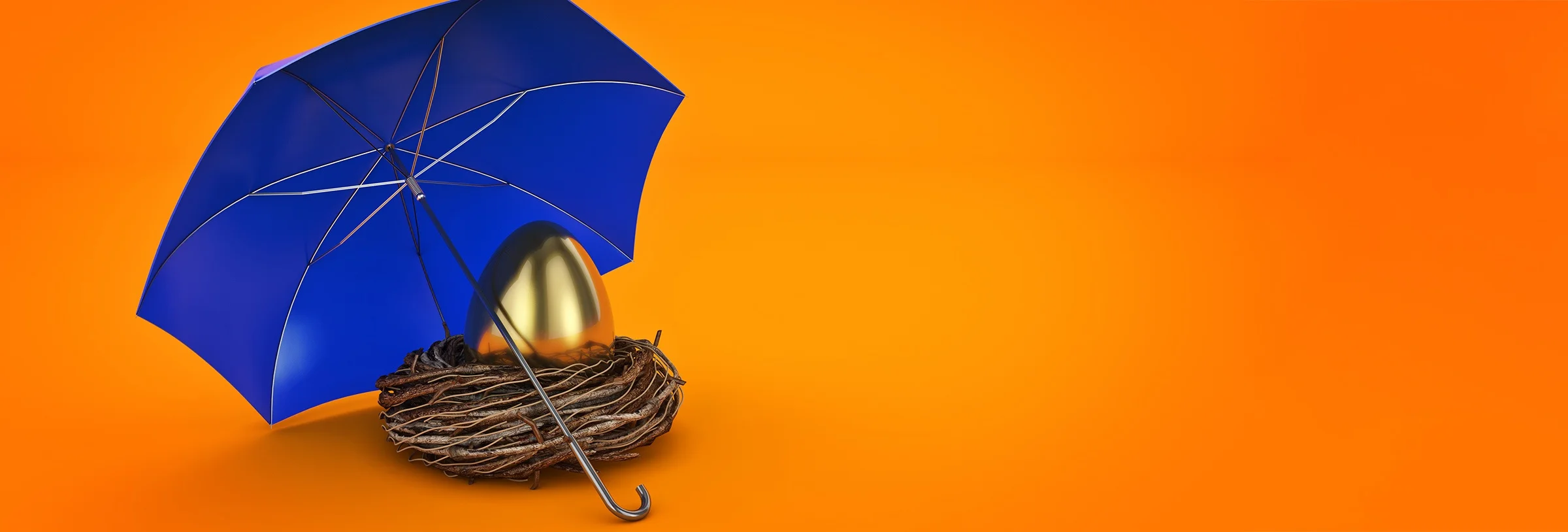 { Banner Image }