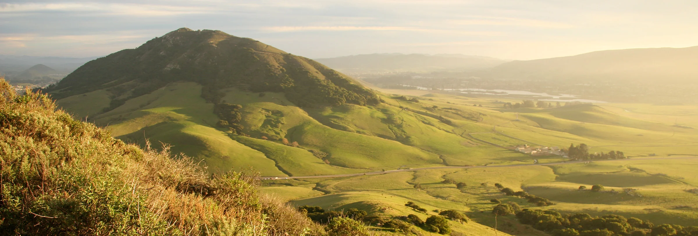 { Banner Image }