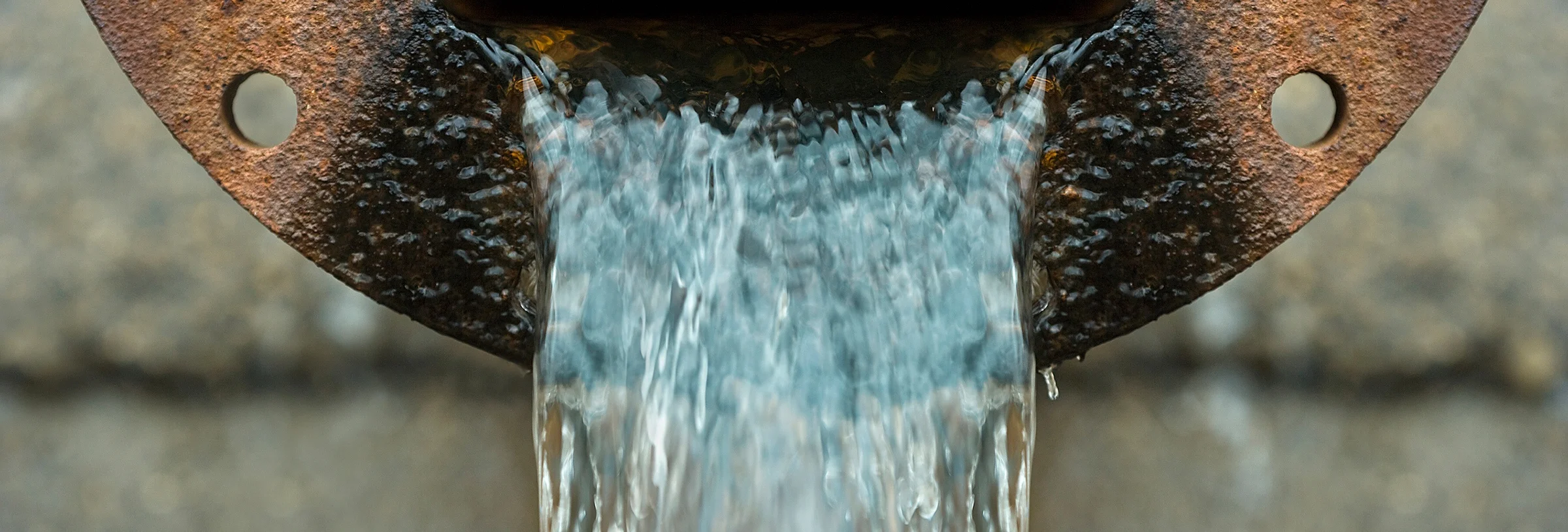 { Banner Image }