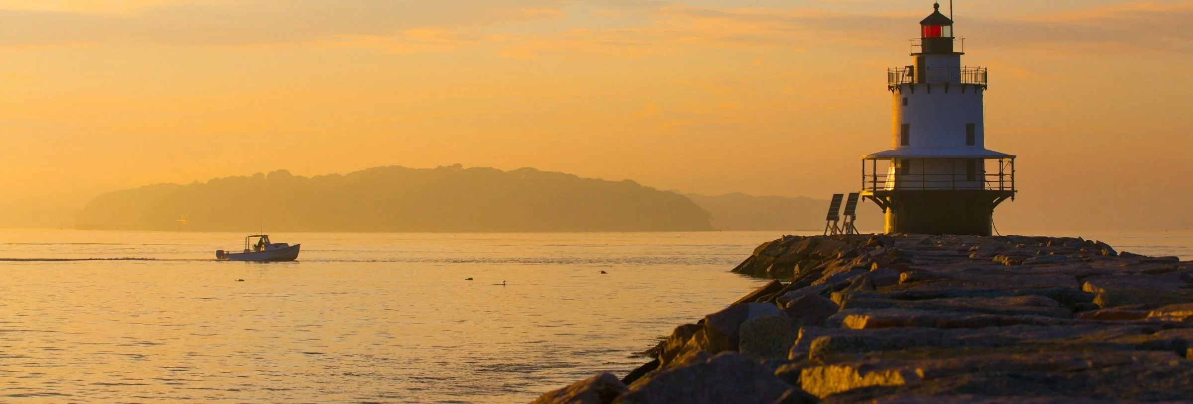 { Banner Image }
