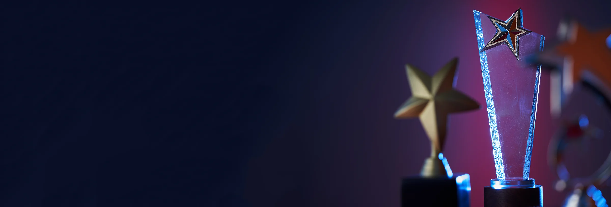 { Banner Image }